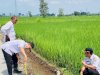 Pastikan Tepat Sasaran, Dispermasdes Monitoring Langsung TMMD Sengkuyung Tahap II di Solodiran