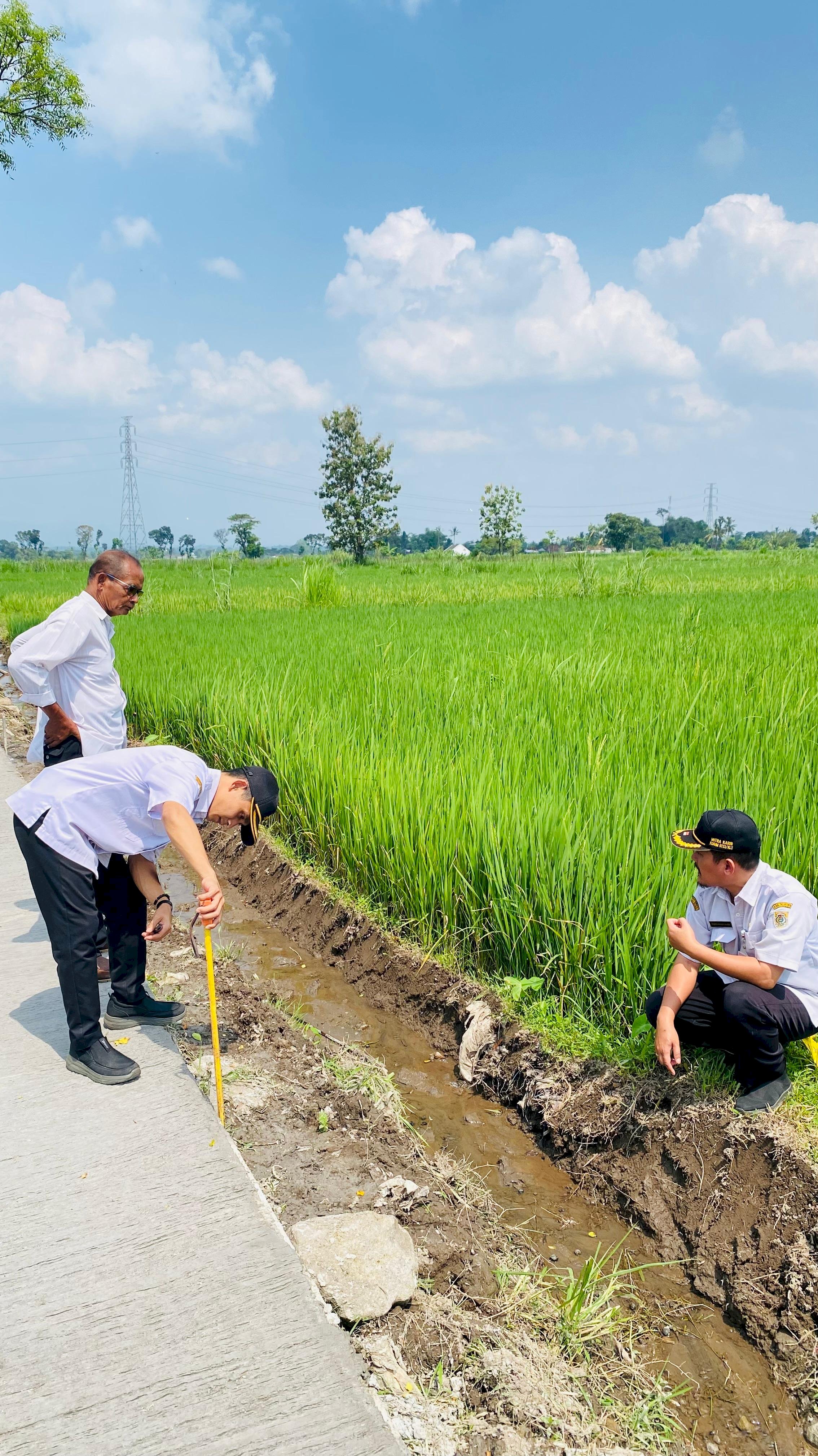 Pastikan Tepat Sasaran, Dispermasdes Monitoring Langsung TMMD Sengkuyung Tahap II di Solodiran